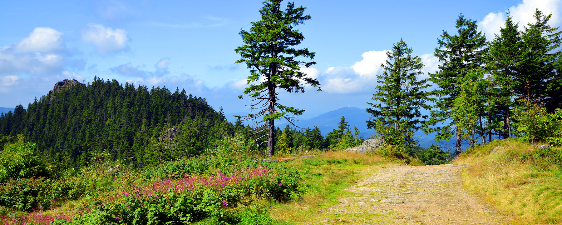 Der Bayerische Wald ist mit seinen gut ausgeschilderten Wegen ideal zum Wandern oder Mountainbiken geeignet