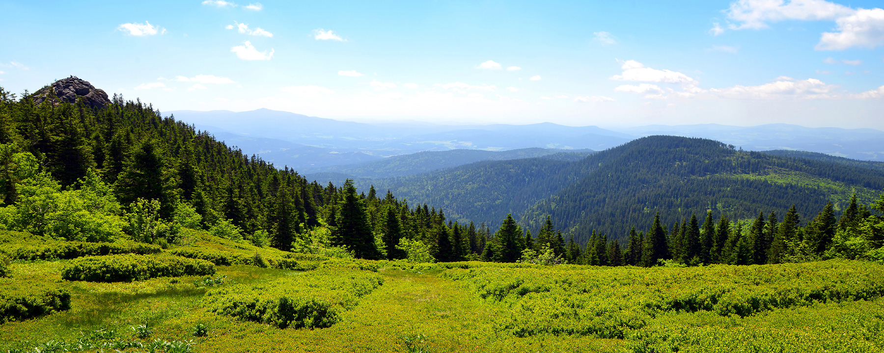 Zahlreiche Wanderwege führen nahe der tschechischen Grenze durch die Wälder des Bayerischen Waldes und bieten herrliche Ausblicke