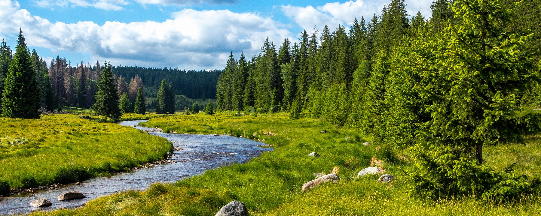 In der Nähe von Deggendorf erstreckt sich der Bayerische Wald mit seinen ausgedehnten Wäldern, klaren Bächen und ursprünglichen Wanderwegen