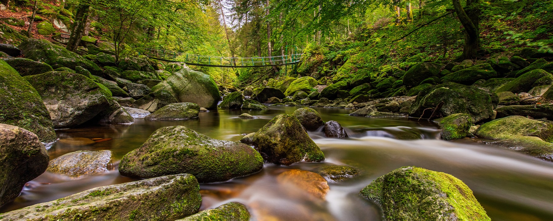 Die Buchberger Leite, eine der wildromantischsten Schluchten des Bayerischen Waldes, führt dich entlang des rauschenden Osterbachs durch enge Felspassagen und dichte Wälder