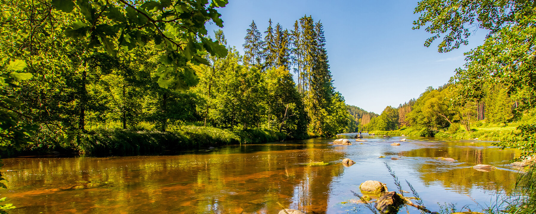 Die Bayerisch Kanada genannte Flusslandschaft bei Viechtach begeistert mit ihrer wilden, naturbelassenen Schönheit und lädt zu ausgedehnten Wanderungen und Kanutouren ein