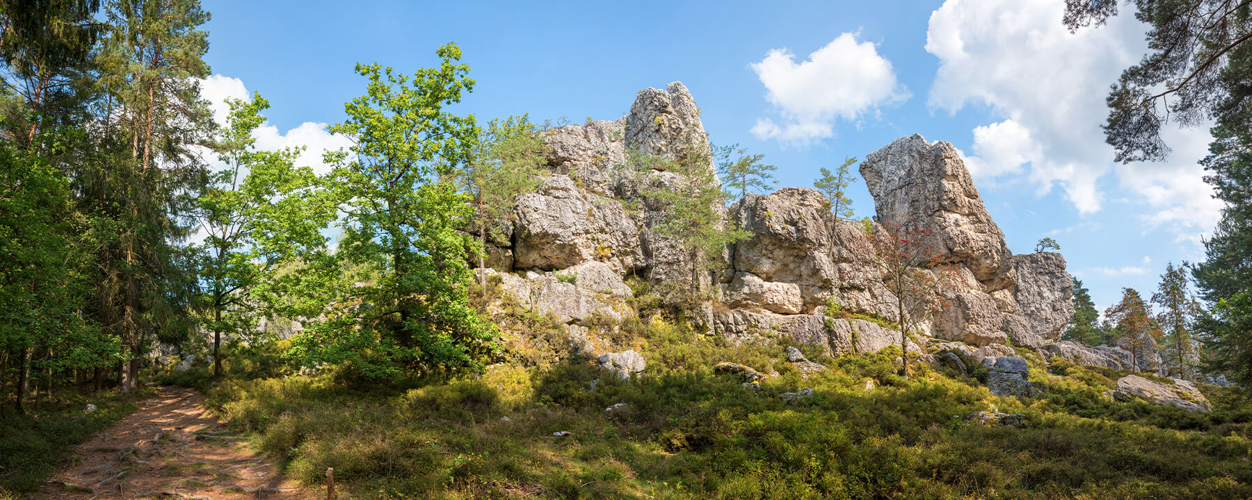 Viechtach im Bayerischen Wald ist bekannt für den Großen Pfahl – ein imposantes Quarzriff, das sich durch die Landschaft zieht