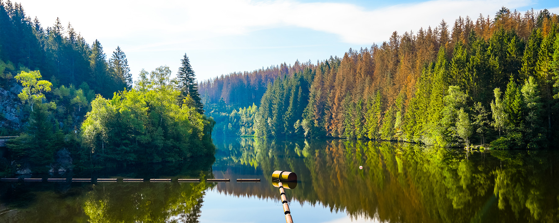 Der Nationalpark Harz ist ein Paradies für Naturliebhaber und Outdoor-Enthusiasten