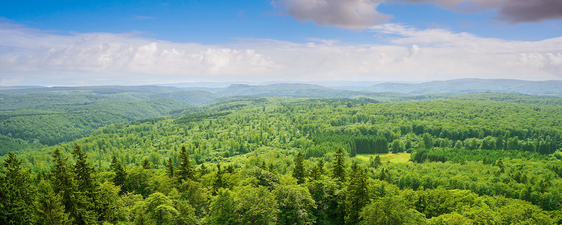 Bad Harzburg ist nur wenige Kilometer vom Harz entfernt und bietet direkten Zugang zu den vielfältigen Naturschönheiten und Wanderwegen