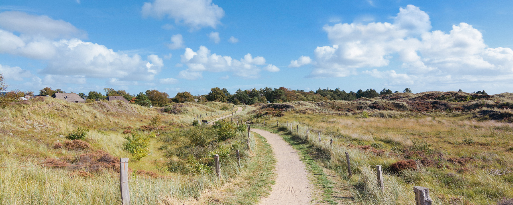 Bei einem Spaziergang durch die Dünen kannst du die salzige Brise voll und ganz genießen