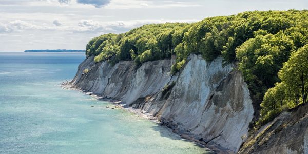 Die Kreidefelsen gehören zu den bekanntesten Wahrzeichen der Insel Rügen