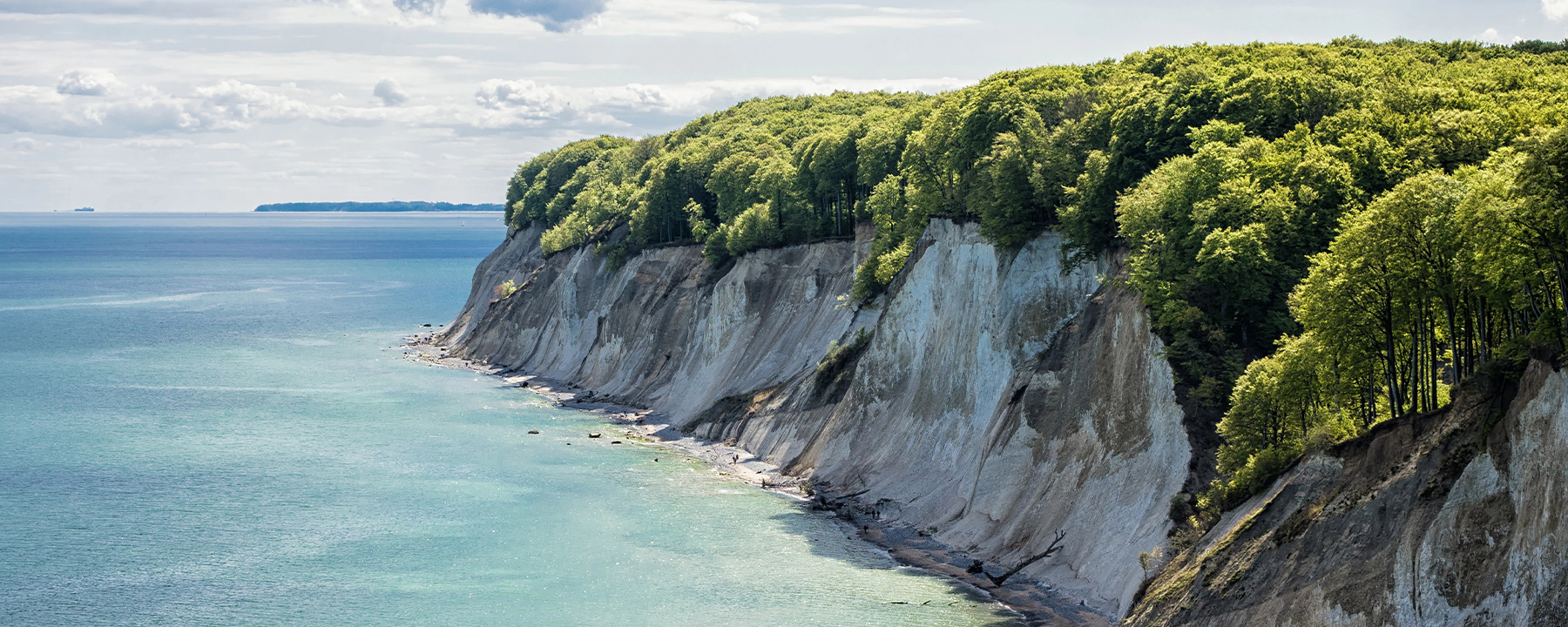 Die Kreidefelsen gehören zu den bekanntesten Wahrzeichen der Insel Rügen