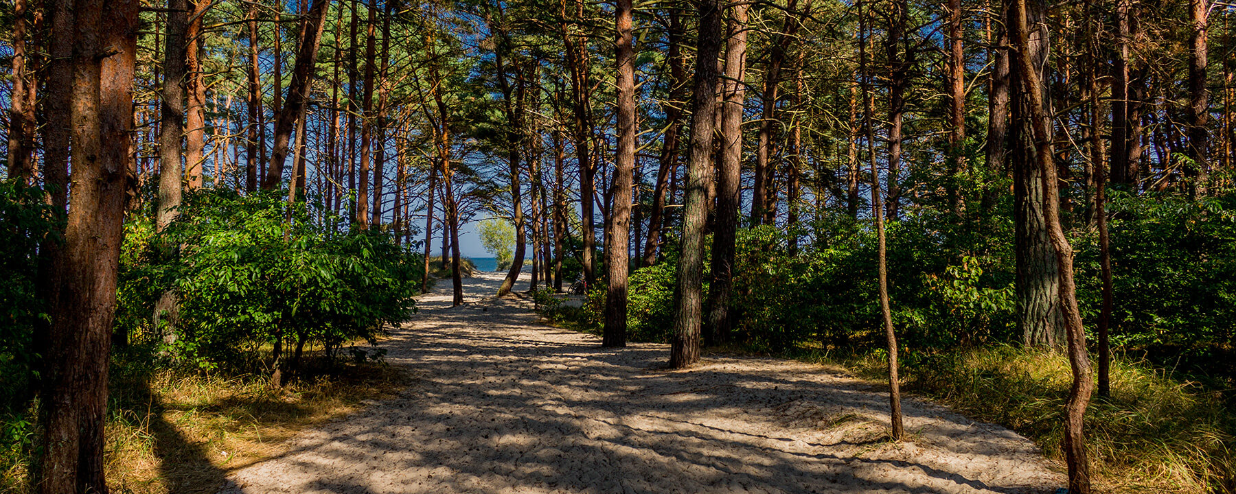 Die Ostsee bei Prora bietet dir kilometerlange, feinsandige Strände,  ideal zum Schwimmen und Sonnenbaden