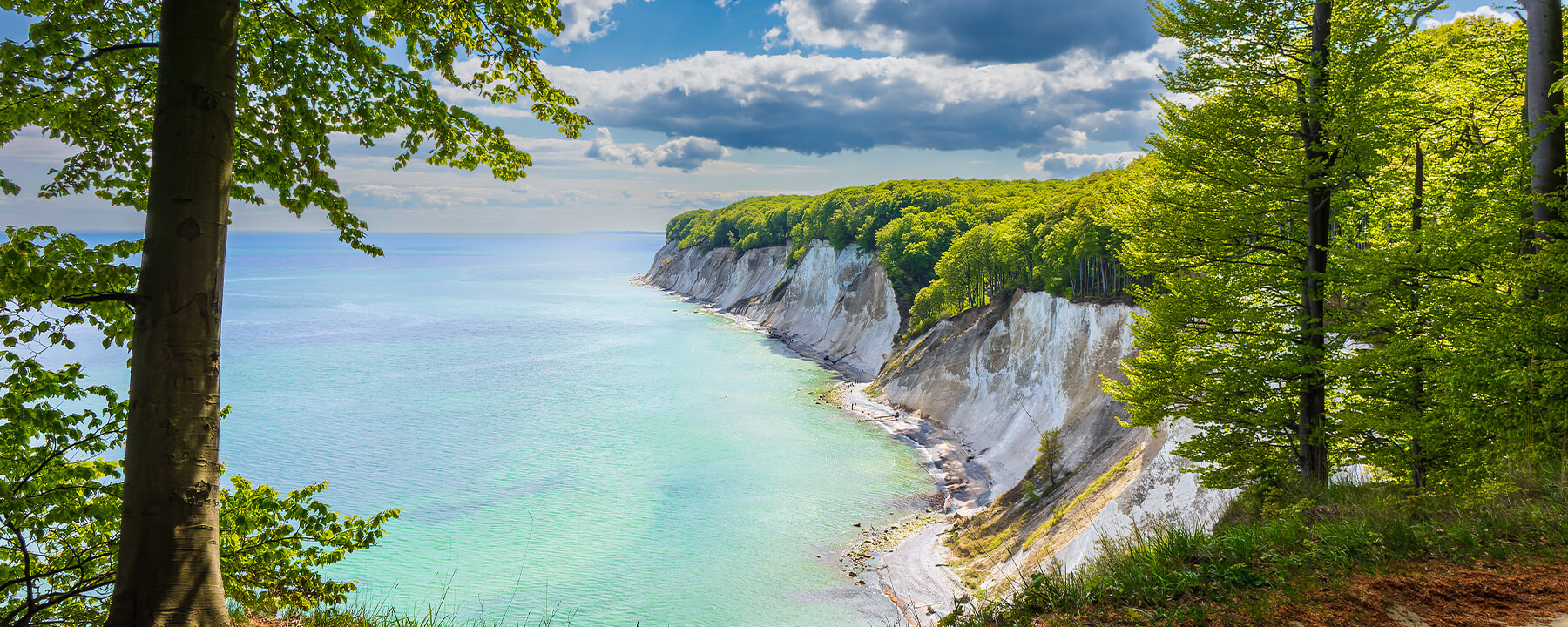 Die Kreidefelsen auf Rügen sind beeindruckende Klippen, die spektakulär aus der Ostsee ragen und ein bekanntes Wahrzeichen der Insel sind