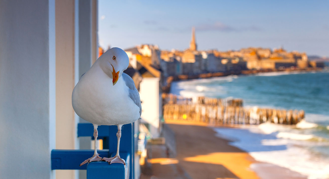 Saint-Malo in der Abenddämmerung