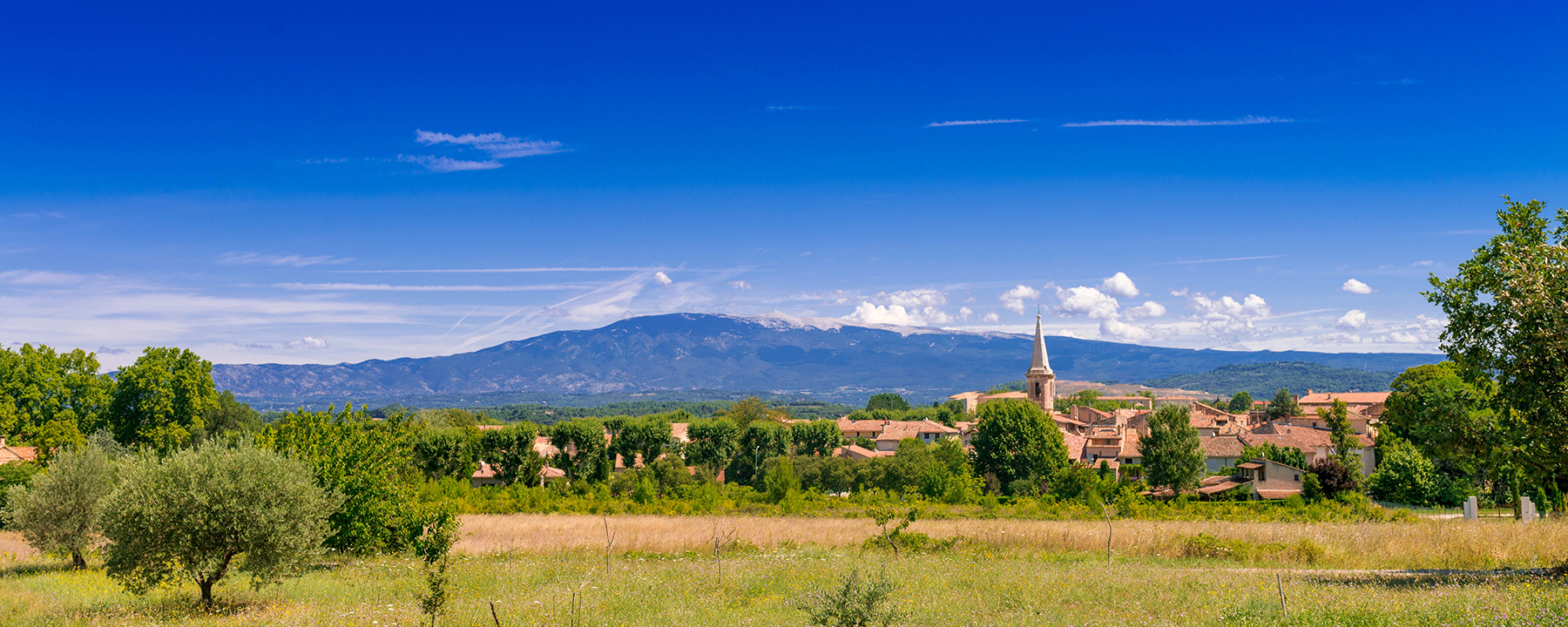 Der Luberon ist ein kleiner Gebirgszug aus Kalkstein und bietet wunderbare Ausblicke auf die umliegenden Hügel und Täler