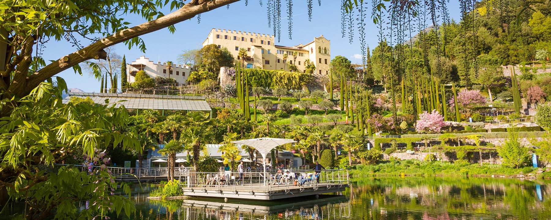 Schloss Trauttmansdorff, umgeben von prächtigen botanischen Gärten, vereint historische Eleganz mit einer beeindruckenden Vielfalt an Pflanzen aus aller Welt