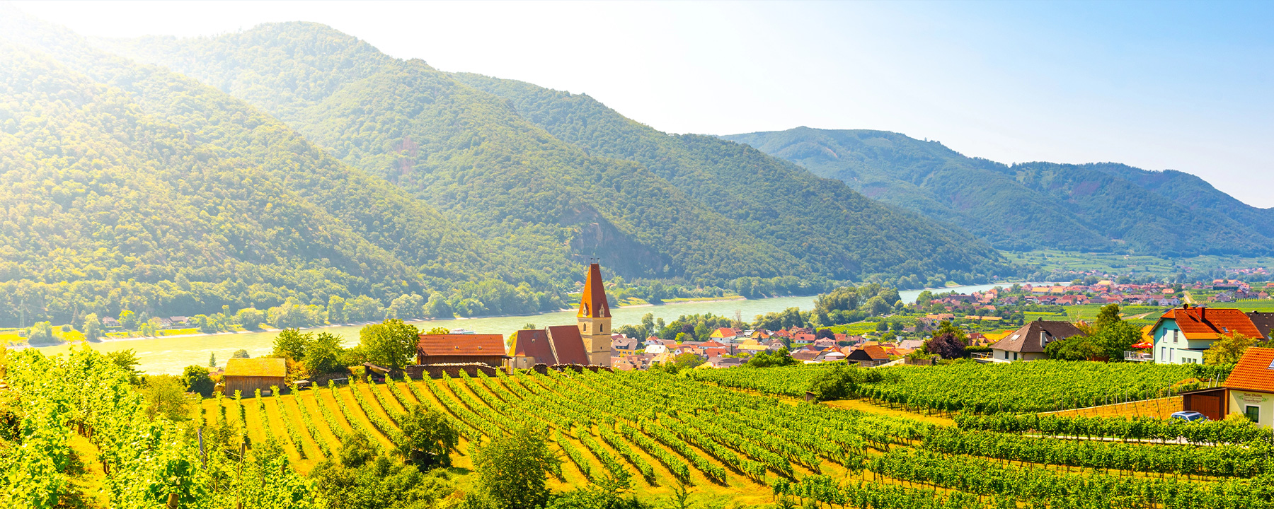 Österreich ist bekannt für hervorragende Weine, welche u.a. in der Region Wachau in und um das Donautal angebaut werden