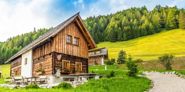 Die Almwiesen in Kärnten sind ein traditionsreiches Naturparadies, bedeckt mit Wildblumen und umgeben von den beeindruckenden Gipfeln der Alpen