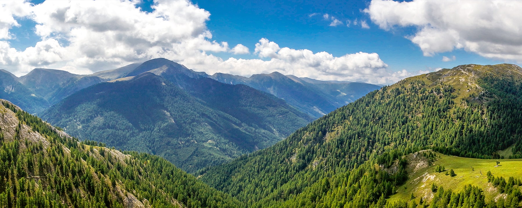 Die Nockberge, ein sanftes Mittelgebirge in der Nähe von Gmünd, sind Teil des Biosphärenparks und bieten zahlreiche Wanderwege, alpine Vegetation und spektakuläre Ausblicke