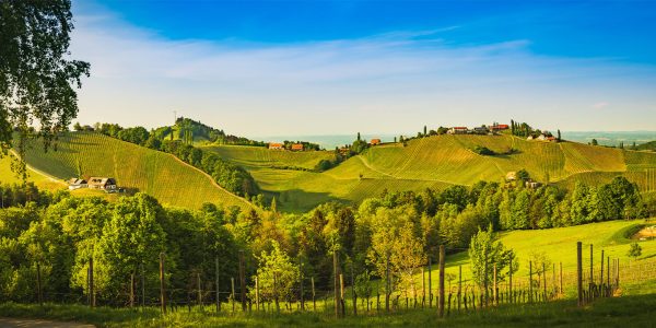 Die Steiermark ist das "Grüne Herz Österreichs" und beeindruckt mit weitläufigen Weinbergen und dichten Wäldern