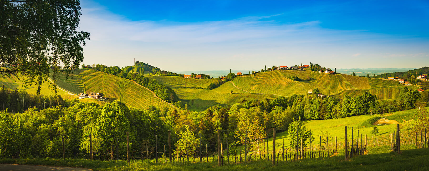 Die Steiermark ist das "Grüne Herz Österreichs" und beeindruckt mit weitläufigen Weinbergen und dichten Wäldern