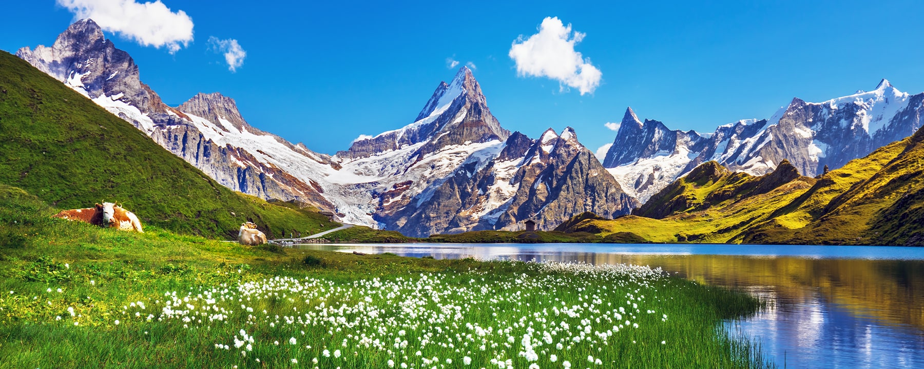 Der Bachalpsee spiegelt an klaren Tagen die schneebedeckten Gipfel der Berner Alpen in seinem ruhigen, blauen Wasser und wirkt wie eine stille Oase inmitten der rauen Berglandschaft